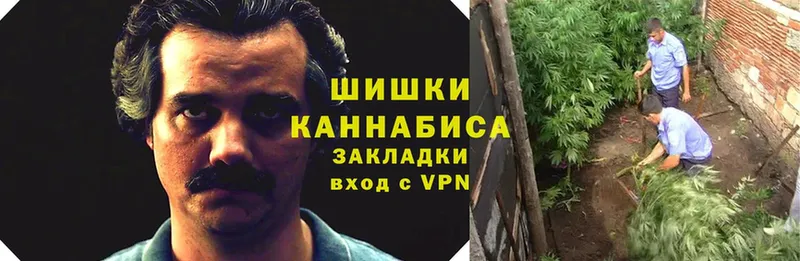 Конопля Bruce Banner  Армянск 